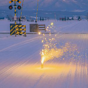 free❌❌❌日本videos
